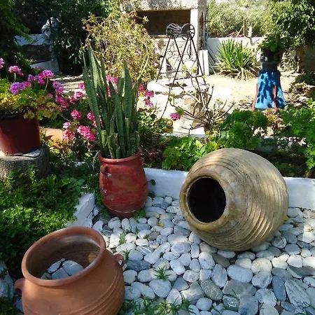 Sofia Amorgos-katapola 3*