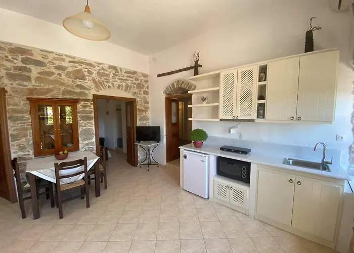 Lägenhetshotell Sofia Amorgos-katapola