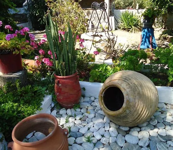 Sofia Amorgos-katapola 3*